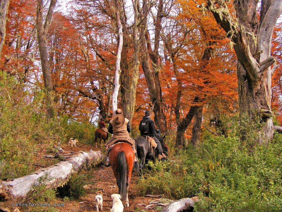 Cabalgatas en San Martin de los Andes