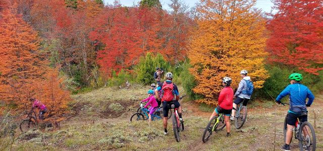 Mountain bike por los Andes