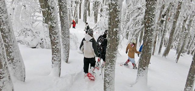 Ascenso al Colorado Invernal