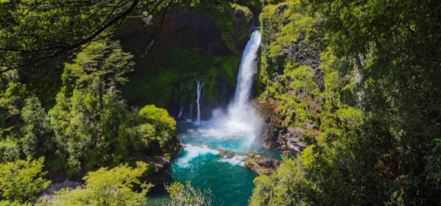 Excursión a Huilo Huilo desde San Martin de los Andes