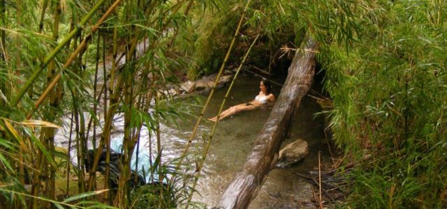 Excursión a Termas del Queñi