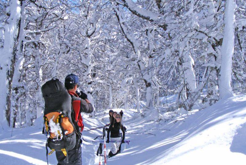 Caminatas en raquetas de nieve